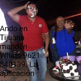 Chiquilin from Tijuana | Man | 42 years old | Scorpio