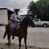Dangelantonin6 from Agua Dulce | Man | 54 years old | Sagittarius