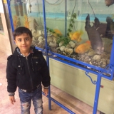 Abdulfatah Sedig from Tabriz | Man | 40 years old | Capricorn