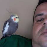 Marciobalak6Z from Toritama | Man | 38 years old | Scorpio
