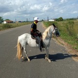 Marcelogarcifv from Propria | Man | 44 years old | Sagittarius