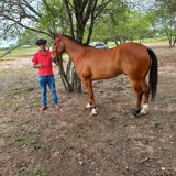 Paragua from Clorinda | Man | 36 years old | Sagittarius