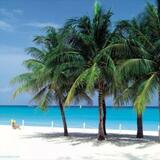 Carrie from Thibodaux | Woman | 44 years old | Sagittarius