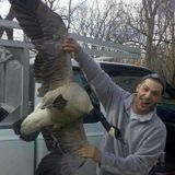 Nice from Wonder Lake | Man | 38 years old | Cancer