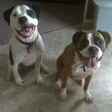 Katherine from Commack | Woman | 43 years old | Virgo