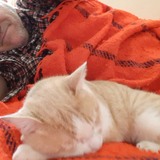 Alessandrodiw3 from Roma | Man | 69 years old | Capricorn