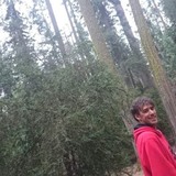 Shaunyuen19K from Lakeside | Man | 45 years old | Aquarius