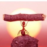 Garry from Auckland | Man | 31 years old | Scorpio